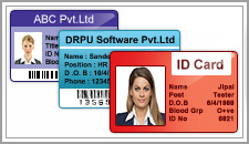 Identity Card Maker - Corporate Edition